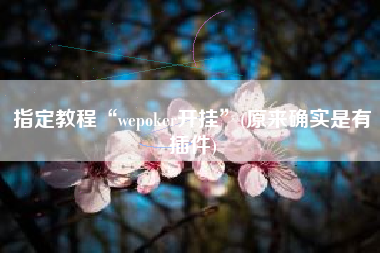 指定教程“wepoker开挂”(原来确实是有插件) 指定教程“wepoker开挂”(原来确实是有插件)