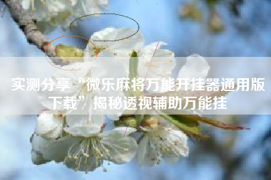 实测分享“微乐麻将万能开挂器通用版下载”揭秘透视辅助万能挂