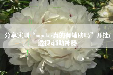 分享实测“aapoker真的有辅助吗”开挂(透视)辅助神器