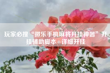 玩家必搜“微乐手机麻将开挂神器”开挂辅助脚本+详细开挂 玩家必搜“微乐手机麻将开挂神器”开挂辅助脚本+详细开挂