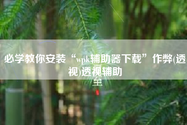 必学教你安装“wpk辅助器下载”作弊(透视)透视辅助