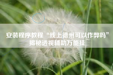 安装程序教程“线上德州可以作弊吗”揭秘透视辅助万能挂 安装程序教程“线上德州可以作弊吗”揭秘透视辅助万能挂