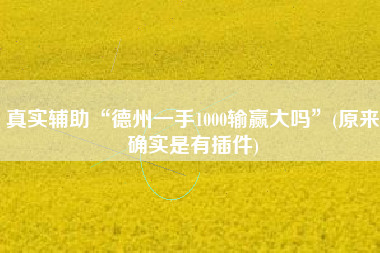 真实辅助“德州一手1000输赢大吗”(原来确实是有插件)