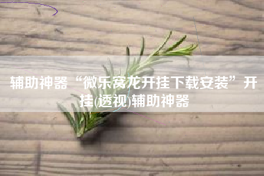 辅助神器“微乐窝龙开挂下载安装”开挂(透视)辅助神器