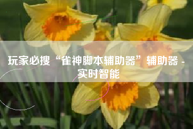 玩家必搜“雀神脚本辅助器”辅助器 - 实时智能