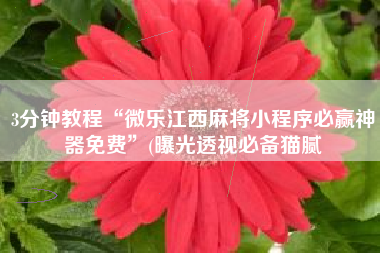 3分钟教程“微乐江西麻将小程序必赢神器免费”(曝光透视必备猫腻 3分钟教程“微乐江西麻将小程序必赢神器免费”(曝光透视必备猫腻