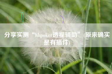 分享实测“hhpoker透视辅助”(原来确实是有插件)
