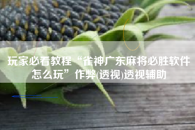 玩家必看教程“雀神广东麻将必胜软件怎么玩”作弊(透视)透视辅助 玩家必看教程“雀神广东麻将必胜软件怎么玩”作弊(透视)透视辅助