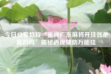 今日必看教程“雀神广东麻将开挂器是真的吗”揭秘透视辅助万能挂