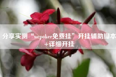 分享实测“wepoker免费挂”开挂辅助脚本+详细开挂