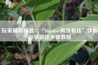 玩家辅助神器：“hhpoker有没有挂”详细分享装挂步骤教程