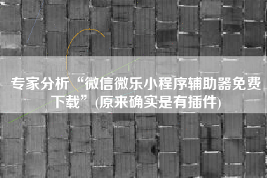 专家分析“微信微乐小程序辅助器免费下载”(原来确实是有插件)