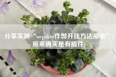 分享实测“wepoker作弊开挂方法原来”(原来确实是有插件) 分享实测“wepoker作弊开挂方法原来”(原来确实是有插件)