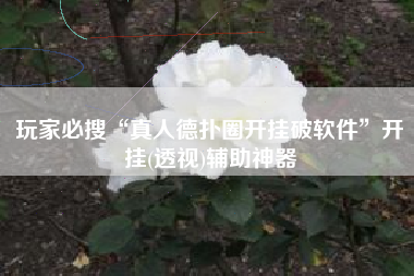 玩家必搜“真人德扑圈开挂破软件”开挂(透视)辅助神器