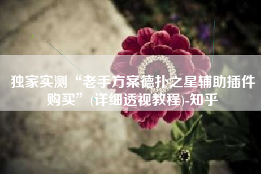 独家实测“老手方案德扑之星辅助插件购买”(详细透视教程)-知乎