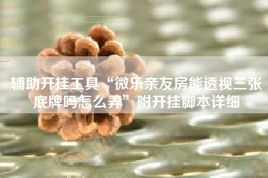 辅助开挂工具“微乐亲友房能透视三张底牌吗怎么弄”附开挂脚本详细 辅助开挂工具“微乐亲友房能透视三张底牌吗怎么弄”附开挂脚本详细