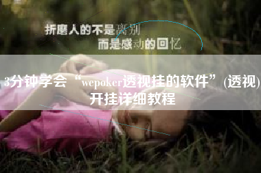 3分钟学会“wepoker透视挂的软件”(透视)开挂详细教程