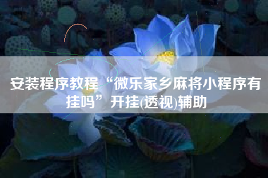 安装程序教程“微乐家乡麻将小程序有挂吗”开挂(透视)辅助