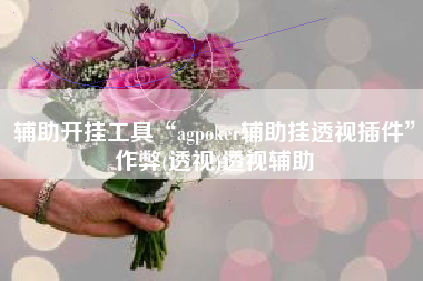 辅助开挂工具“agpoker辅助挂透视插件”作弊(透视)透视辅助