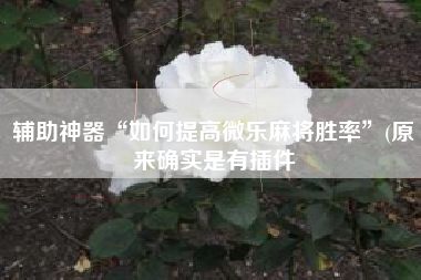 辅助神器“如何提高微乐麻将胜率”(原来确实是有插件 辅助神器“如何提高微乐麻将胜率”(原来确实是有插件