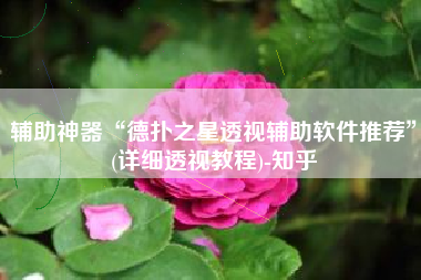 辅助神器“德扑之星透视辅助软件推荐”(详细透视教程)-知乎 辅助神器“德扑之星透视辅助软件推荐”(详细透视教程)-知乎