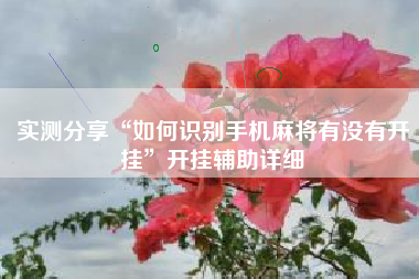 实测分享“如何识别手机麻将有没有开挂”开挂辅助详细