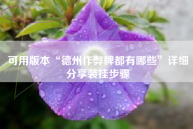 可用版本“德州作弊牌都有哪些”详细分享装挂步骤