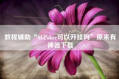 教程辅助“AGPoker可以开挂吗”原来有神器下载 教程辅助“AGPoker可以开挂吗”原来有神器下载