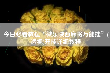 今日必看教程“微乐陕西麻将万能挂”(透视)开挂详细教程 今日必看教程“微乐陕西麻将万能挂”(透视)开挂详细教程