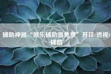 辅助神器“微乐辅助器免费”开挂(透视)辅助 辅助神器“微乐辅助器免费”开挂(透视)辅助