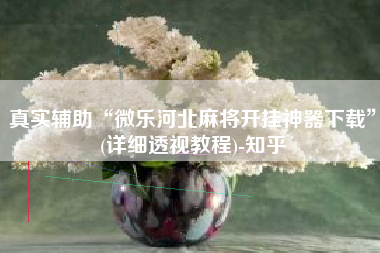 真实辅助“微乐河北麻将开挂神器下载”(详细透视教程)-知乎