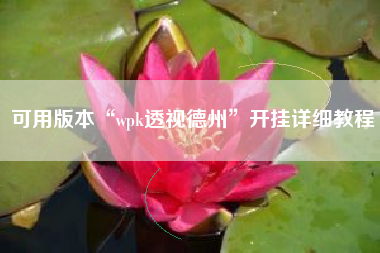 可用版本“wpk透视德州”开挂详细教程