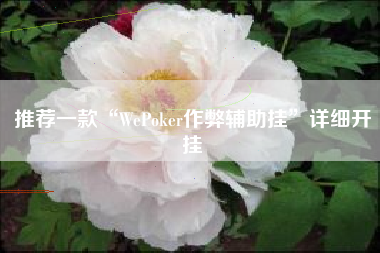 推荐一款“WePoker作弊辅助挂”详细开挂 推荐一款“WePoker作弊辅助挂”详细开挂