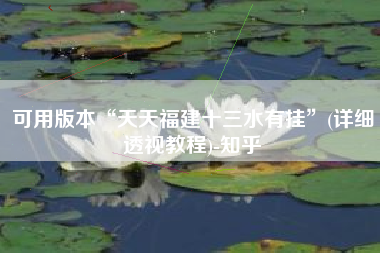 可用版本“天天福建十三水有挂”(详细透视教程)-知乎