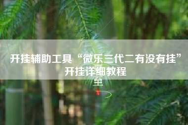 开挂辅助工具“微乐三代二有没有挂”开挂详细教程