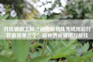 开挂辅助工具“闲逸麻将挂先试用后付款最简单三个”揭秘透视辅助万能挂