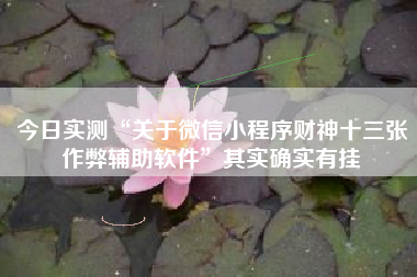 今日实测“关于微信小程序财神十三张作弊辅助软件”其实确实有挂 今日实测“关于微信小程序财神十三张作弊辅助软件”其实确实有挂