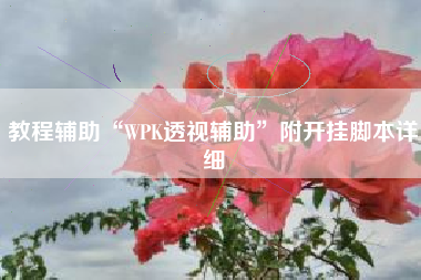教程辅助“WPK透视辅助”附开挂脚本详细