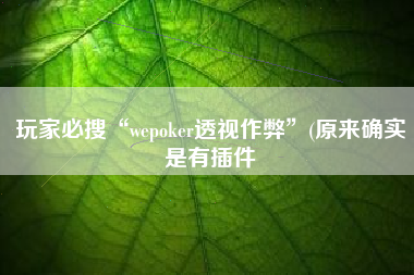 玩家必搜“wepoker透视作弊”(原来确实是有插件