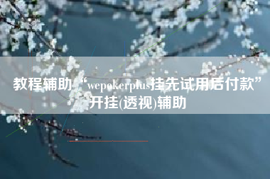 教程辅助“wepokerplus挂先试用后付款”开挂(透视)辅助 教程辅助“wepokerplus挂先试用后付款”开挂(透视)辅助