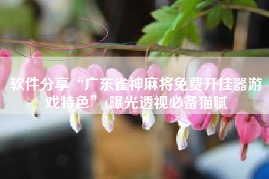 软件分享“广东雀神麻将免费开挂器游戏特色”(曝光透视必备猫腻 软件分享“广东雀神麻将免费开挂器游戏特色”(曝光透视必备猫腻