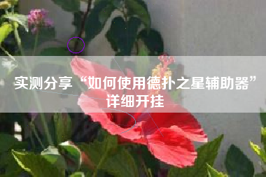 实测分享“如何使用德扑之星辅助器”详细开挂