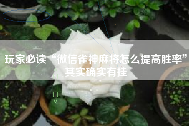 玩家必读“微信雀神麻将怎么提高胜率”其实确实有挂