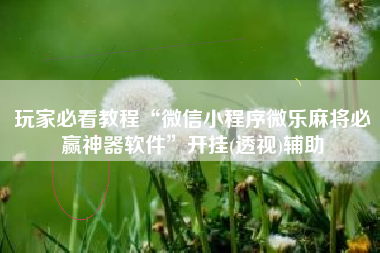 玩家必看教程“微信小程序微乐麻将必赢神器软件”开挂(透视)辅助 玩家必看教程“微信小程序微乐麻将必赢神器软件”开挂(透视)辅助