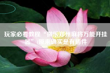 玩家必看教程“微乐郑州麻将万能开挂器”(原来确实是有插件