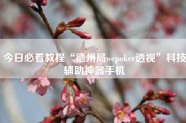 今日必看教程“德州局wepoker透视”科技辅助神器手机 今日必看教程“德州局wepoker透视”科技辅助神器手机