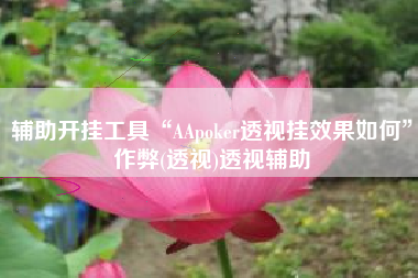辅助开挂工具“AApoker透视挂效果如何”作弊(透视)透视辅助