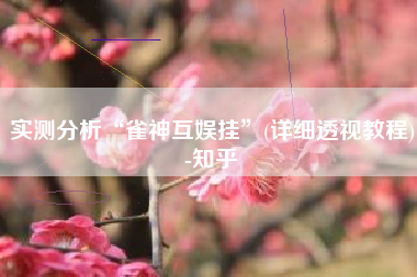 实测分析“雀神互娱挂”(详细透视教程)-知乎