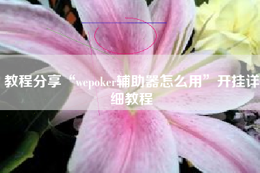 教程分享“wepoker辅助器怎么用”开挂详细教程