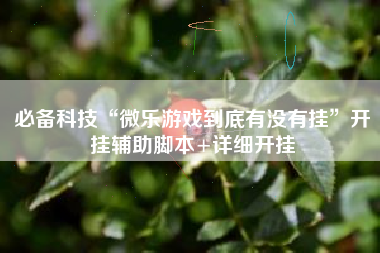 必备科技“微乐游戏到底有没有挂”开挂辅助脚本+详细开挂 必备科技“微乐游戏到底有没有挂”开挂辅助脚本+详细开挂